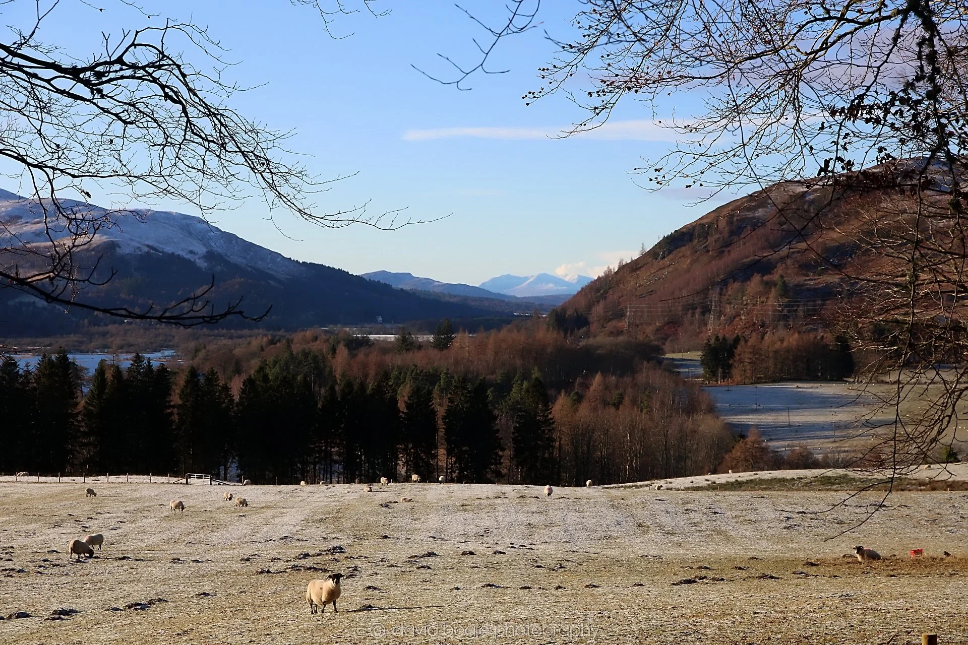 YEAR20221215 00074 Aberfeldy.jpg