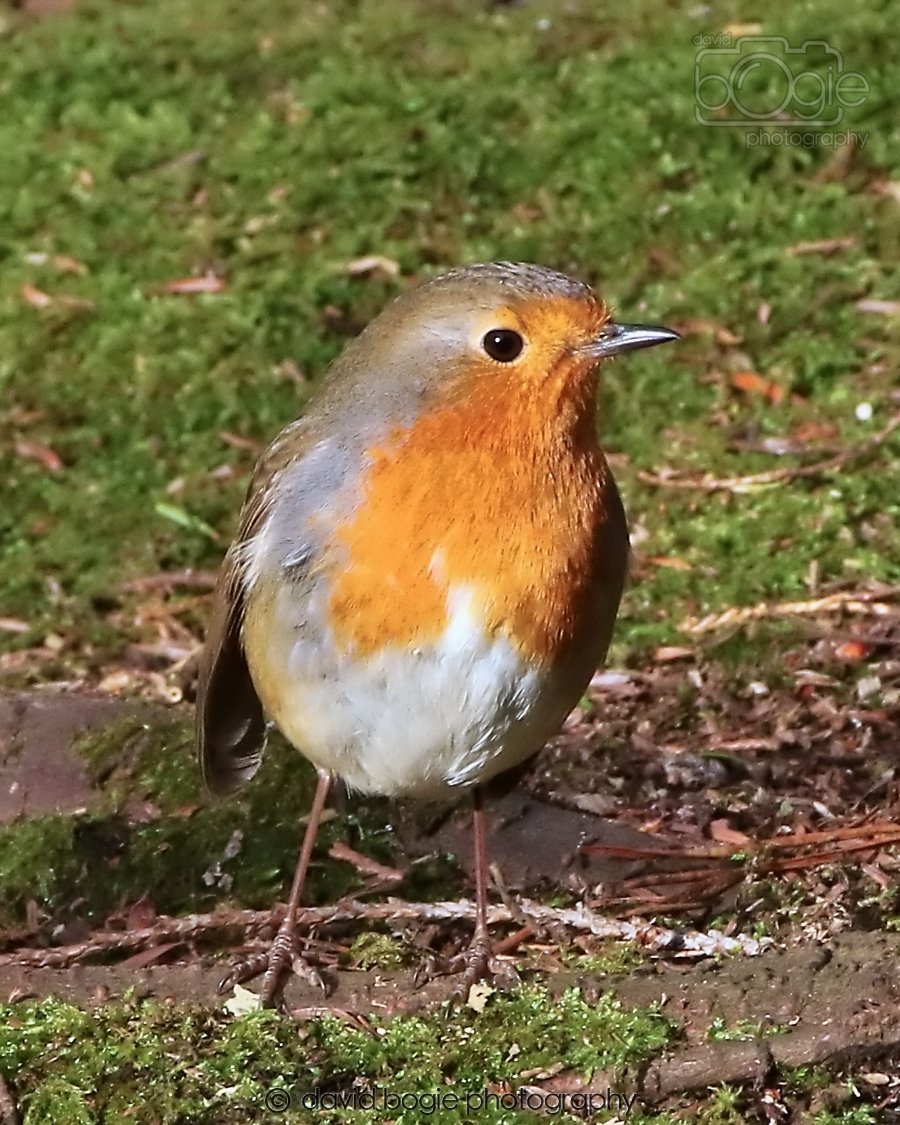 20260128 133747 Dunnikier 0228.jpg