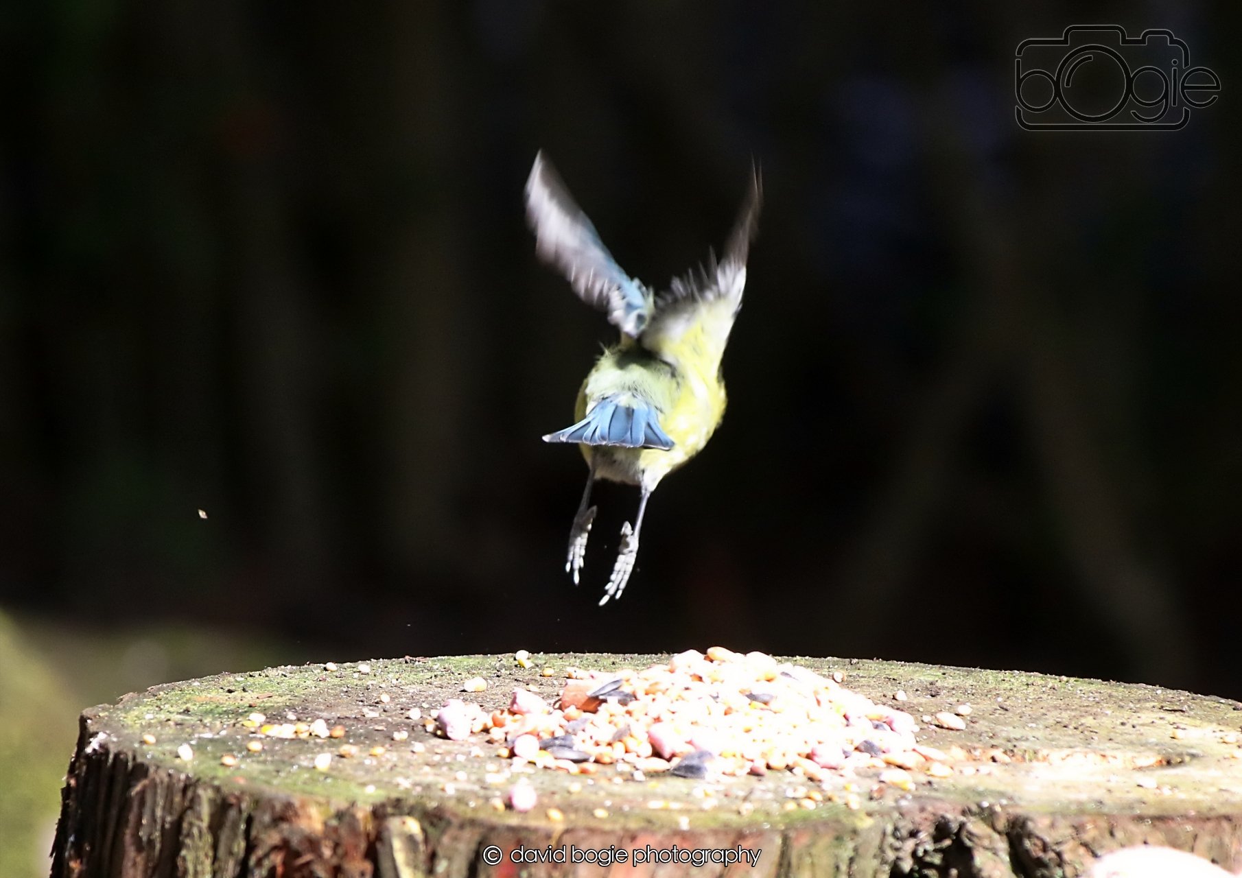 20260403 120753 Dunnikier 0012.jpg