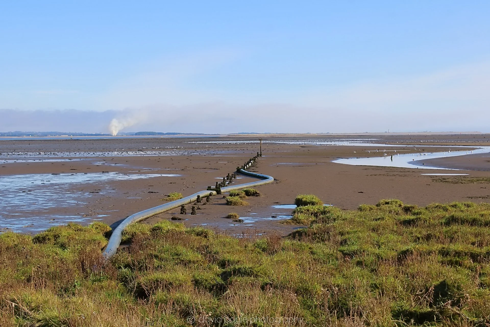 20191014 112552 Tentsmuir 0032.jpg