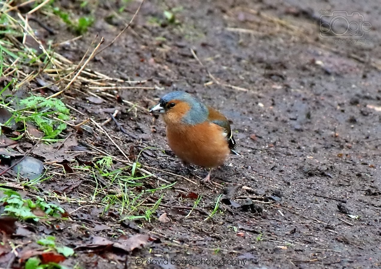 20260306 091054 Dunnikier 0040.jpg