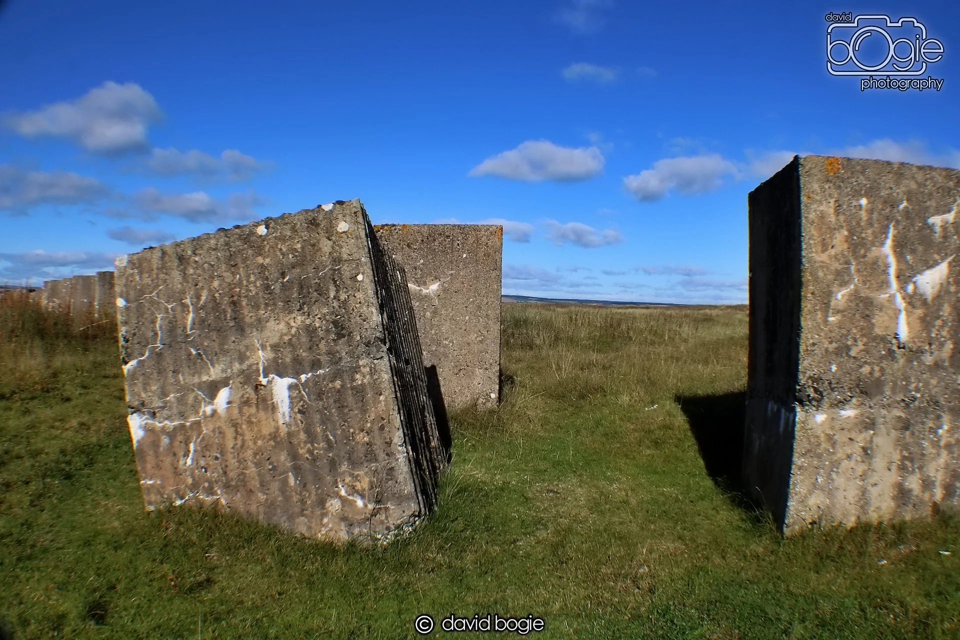 20191002 134617 Tentsmuir 0021.jpg