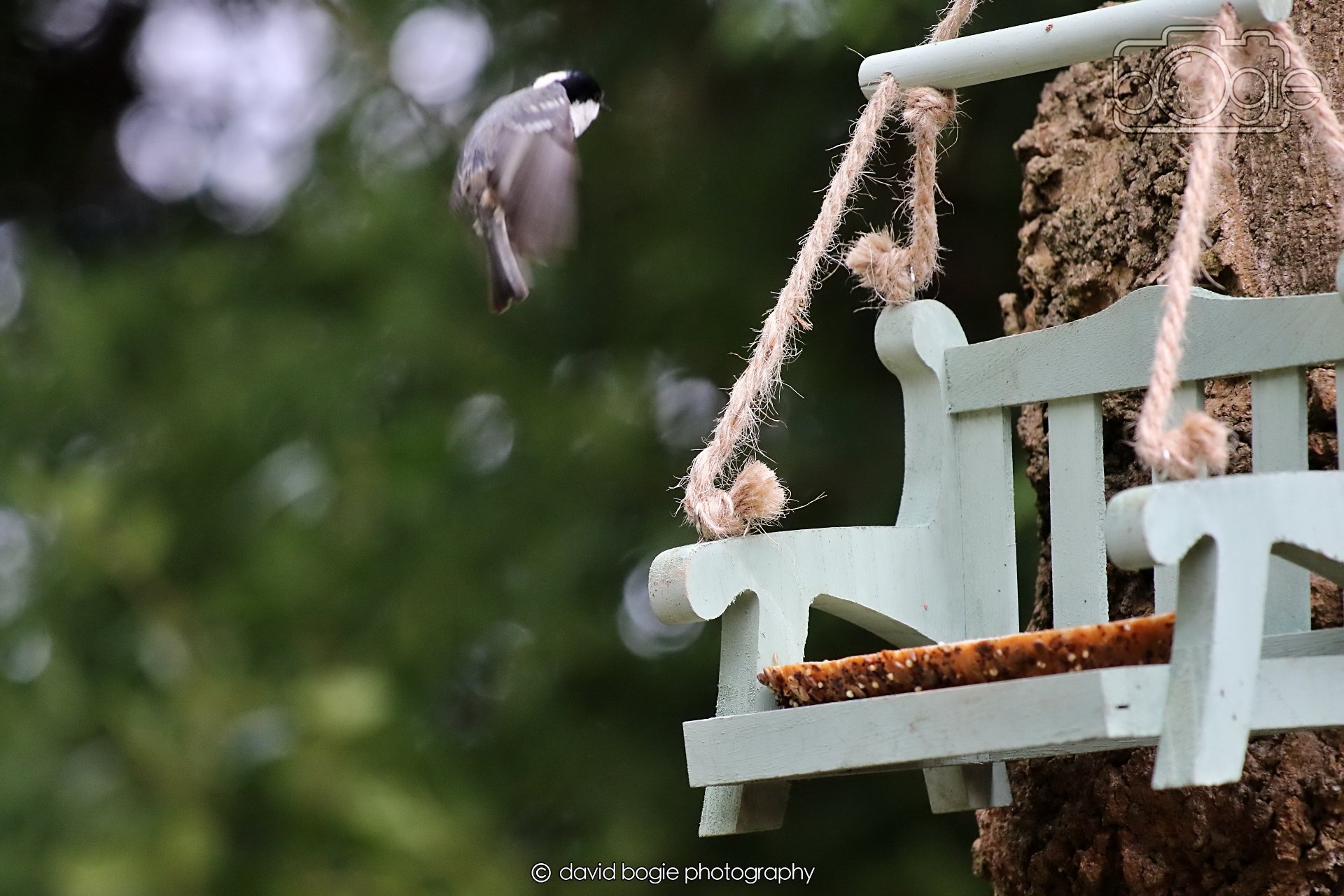 20260330 113517 Dunnikier 0228.jpg