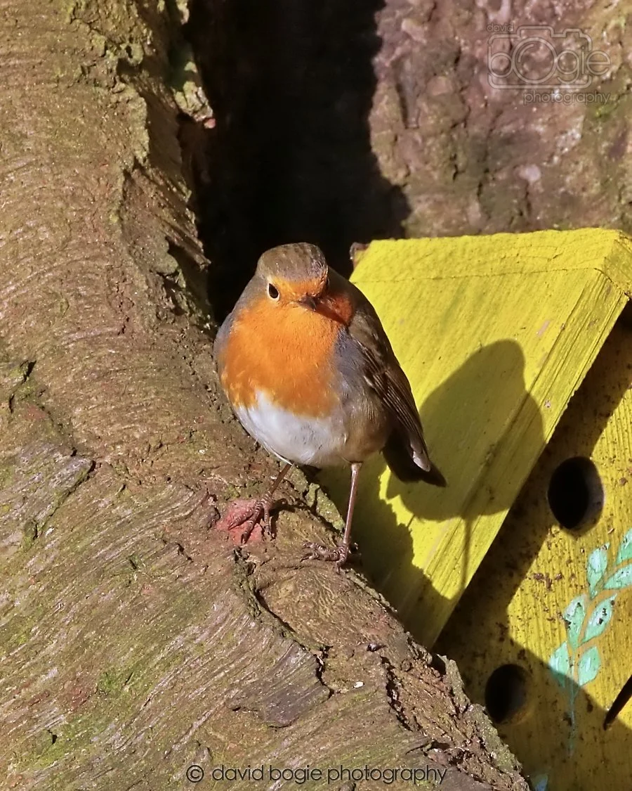 20260128 134016 Dunnikier 0249.jpg