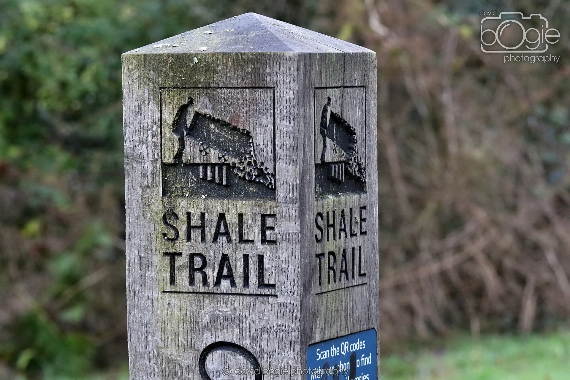 20251205 134025 East Calder 0148.JPG