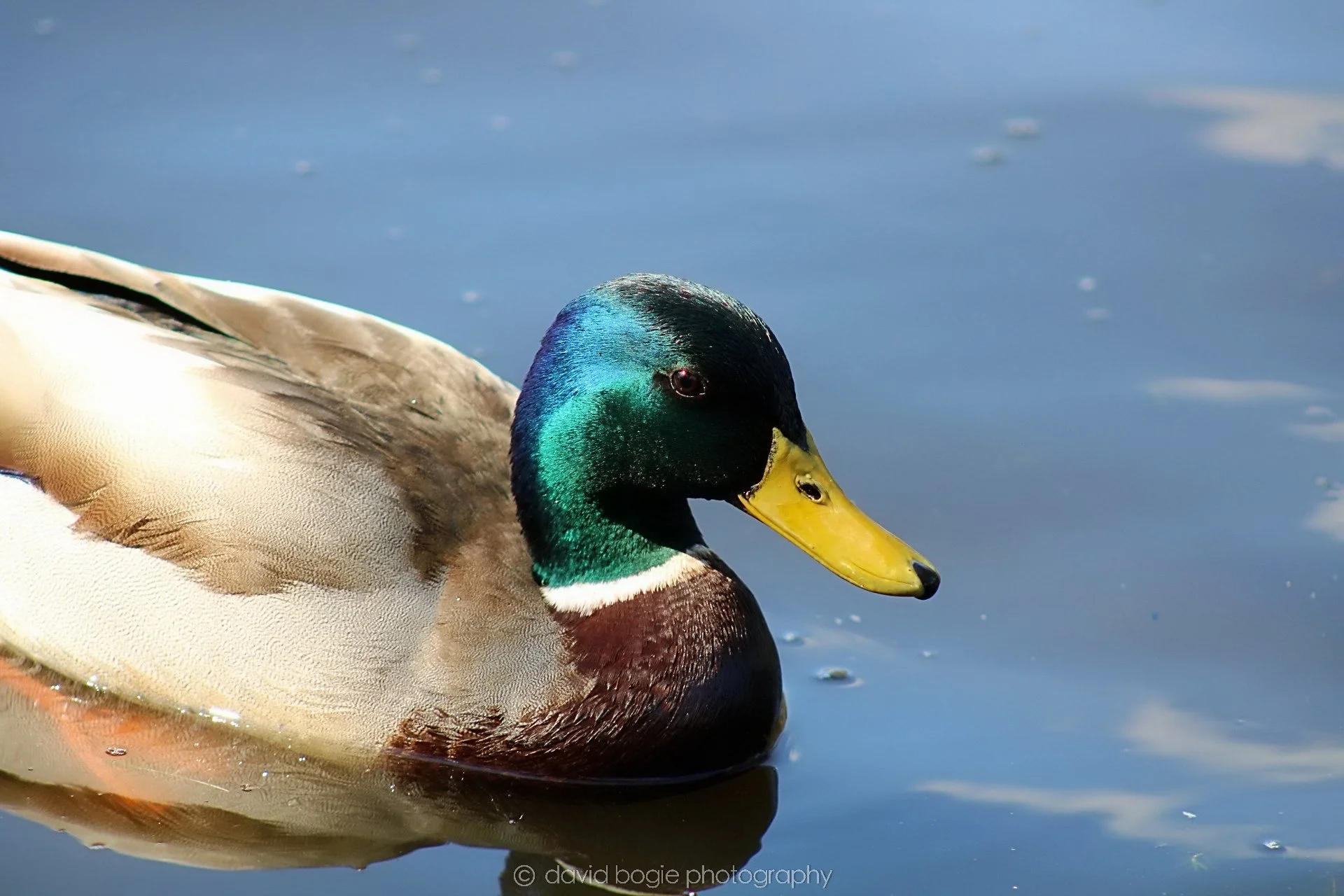 20190411 113917 Otterston 0036.jpg