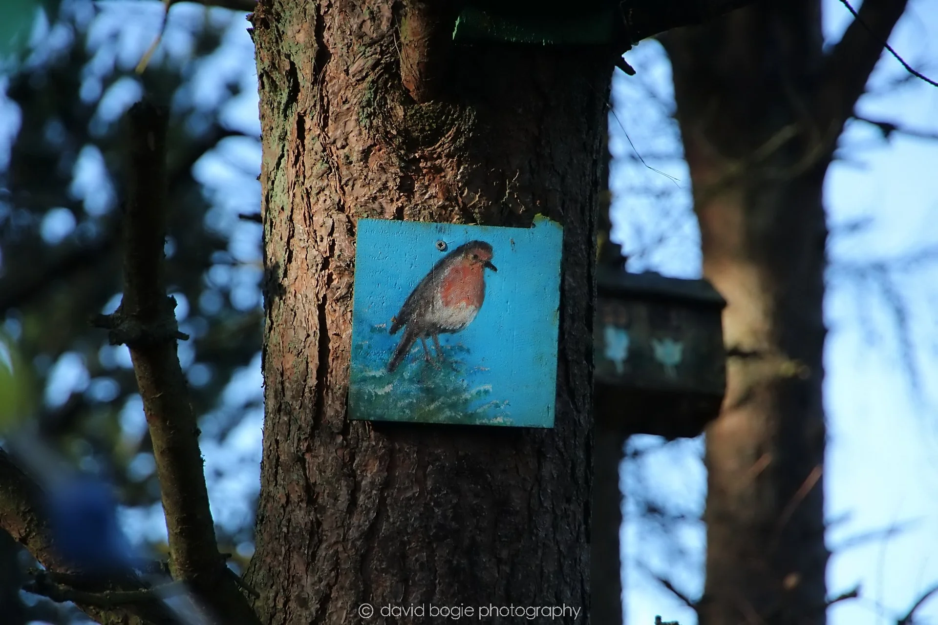 YEAR20240207 Lochore Meadows 0210.jpg