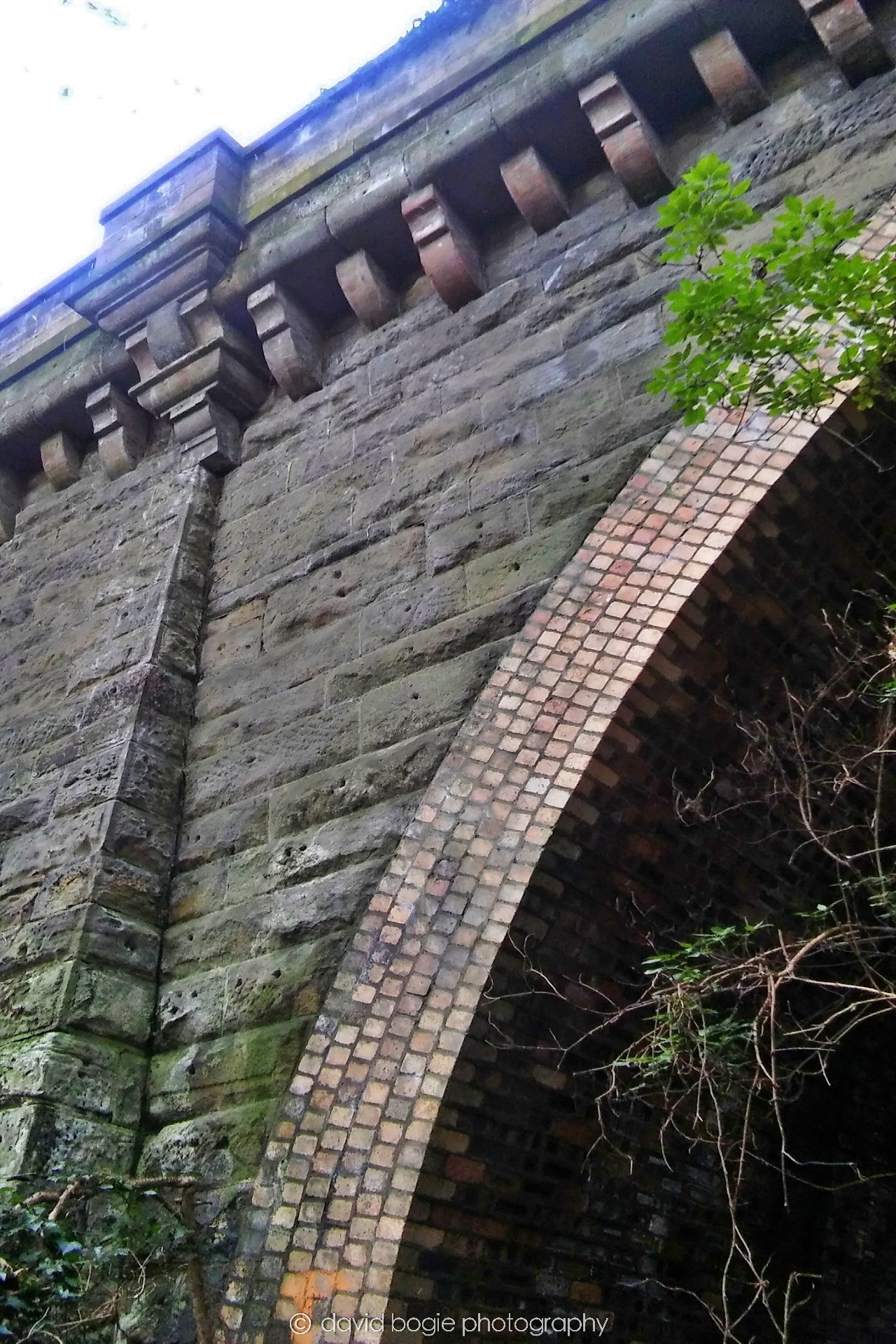 20161027 094438 Kirkcaldy 0011.jpg