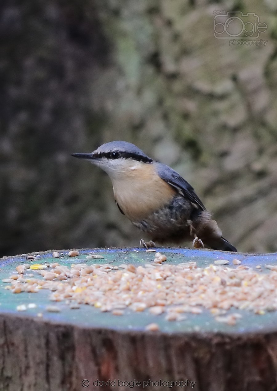 20260309 115212 Dunnikier 0436.jpg