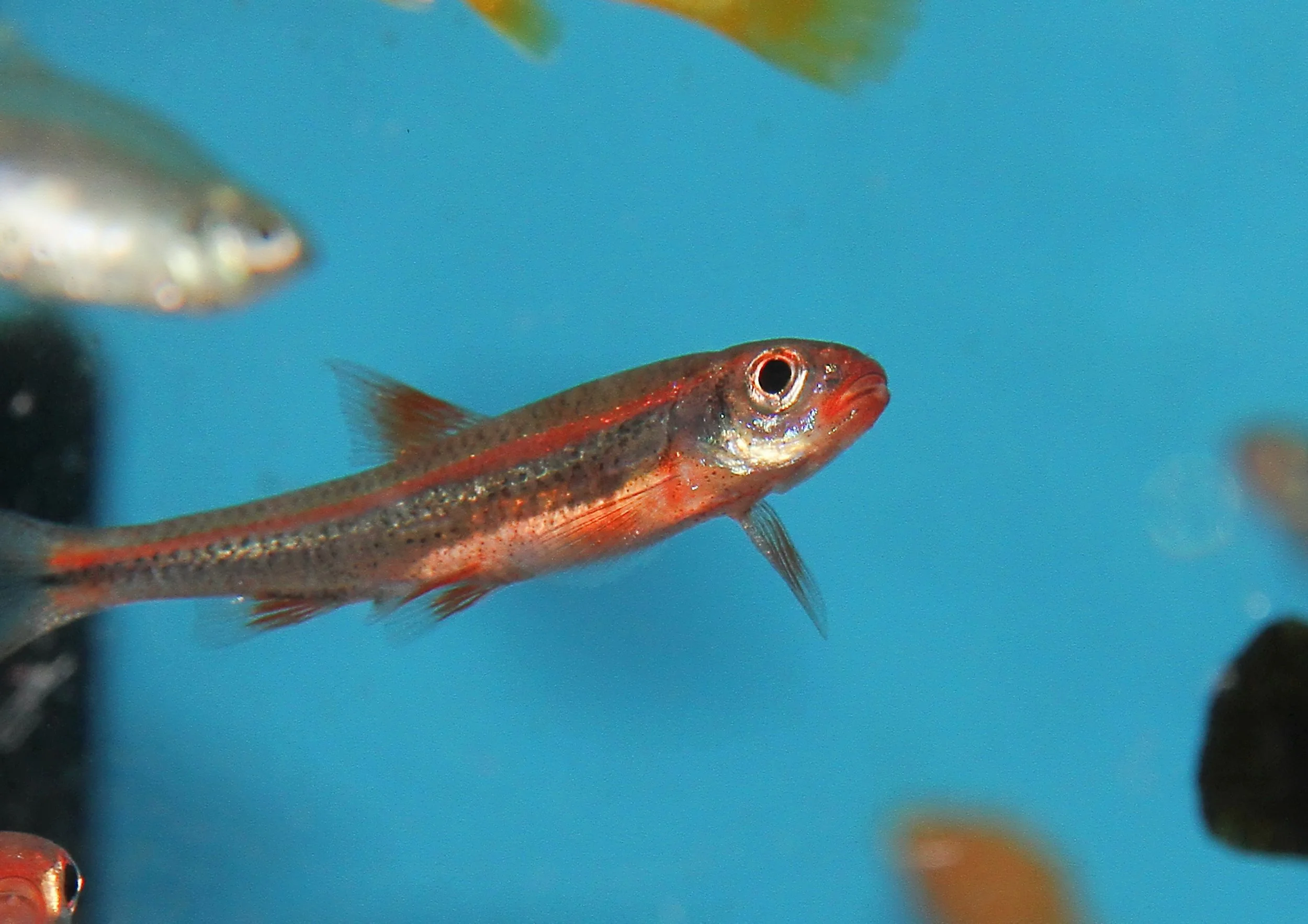 20260403 141657 IMG_0160.jpg