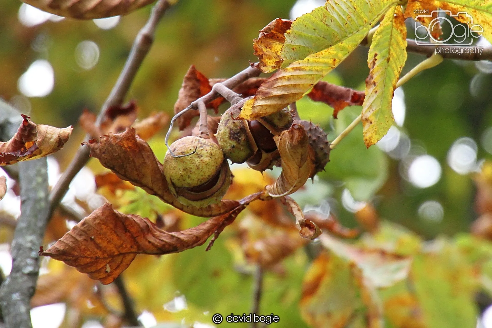 20231016 Beveridge 150539 0340.jpg