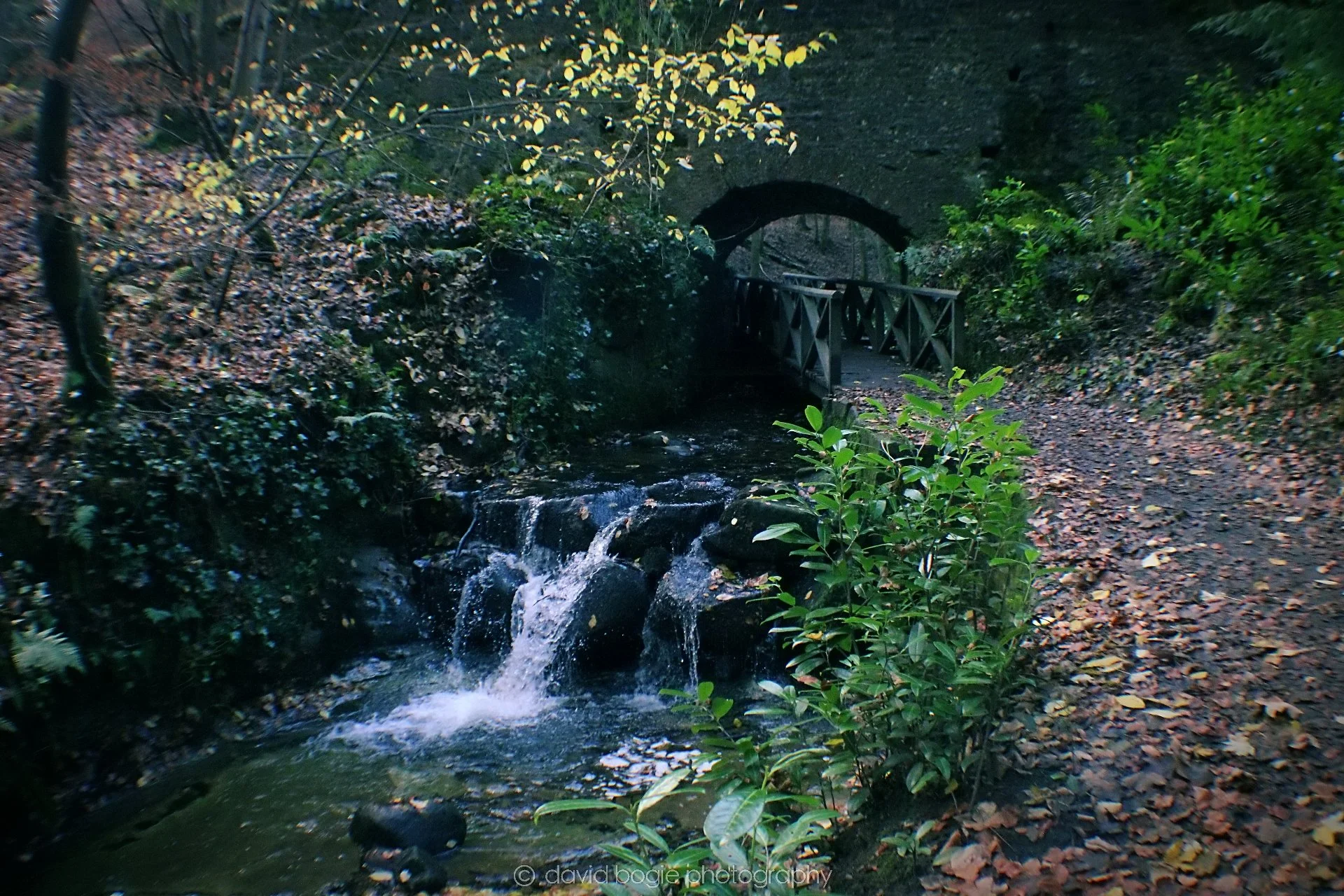 20191121 131524 Falkland 0010.jpg