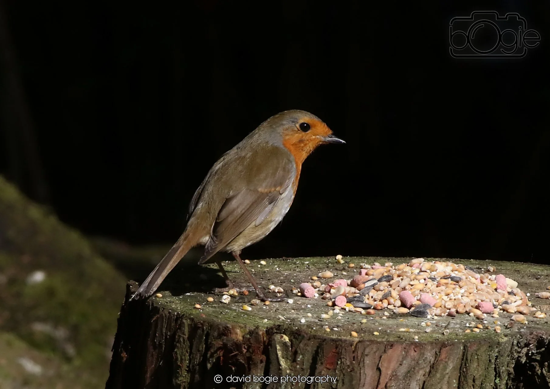 20260403 121202 Dunnikier 0024.jpg