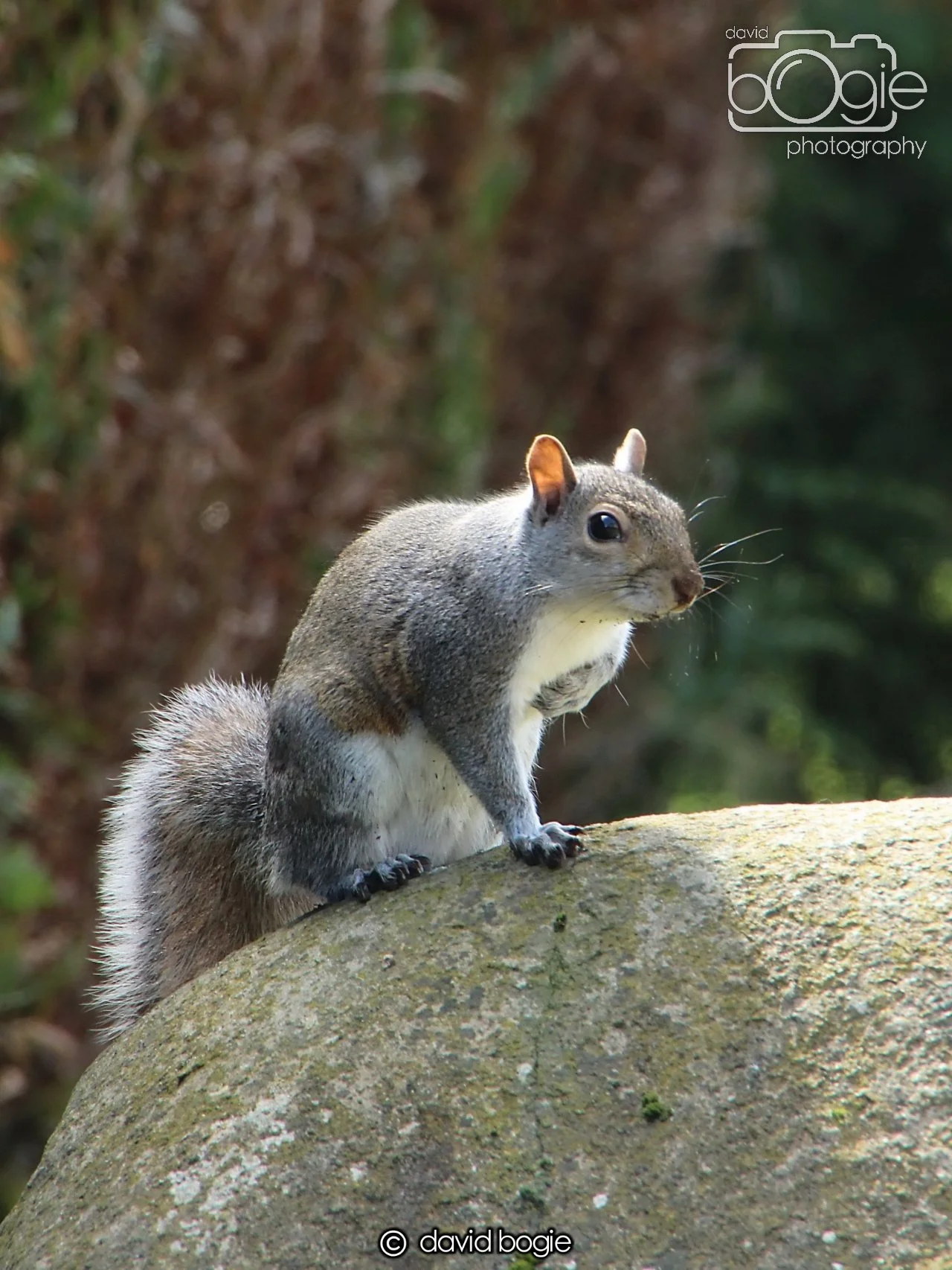 20240423 113143 Beveridge 0034.JPG