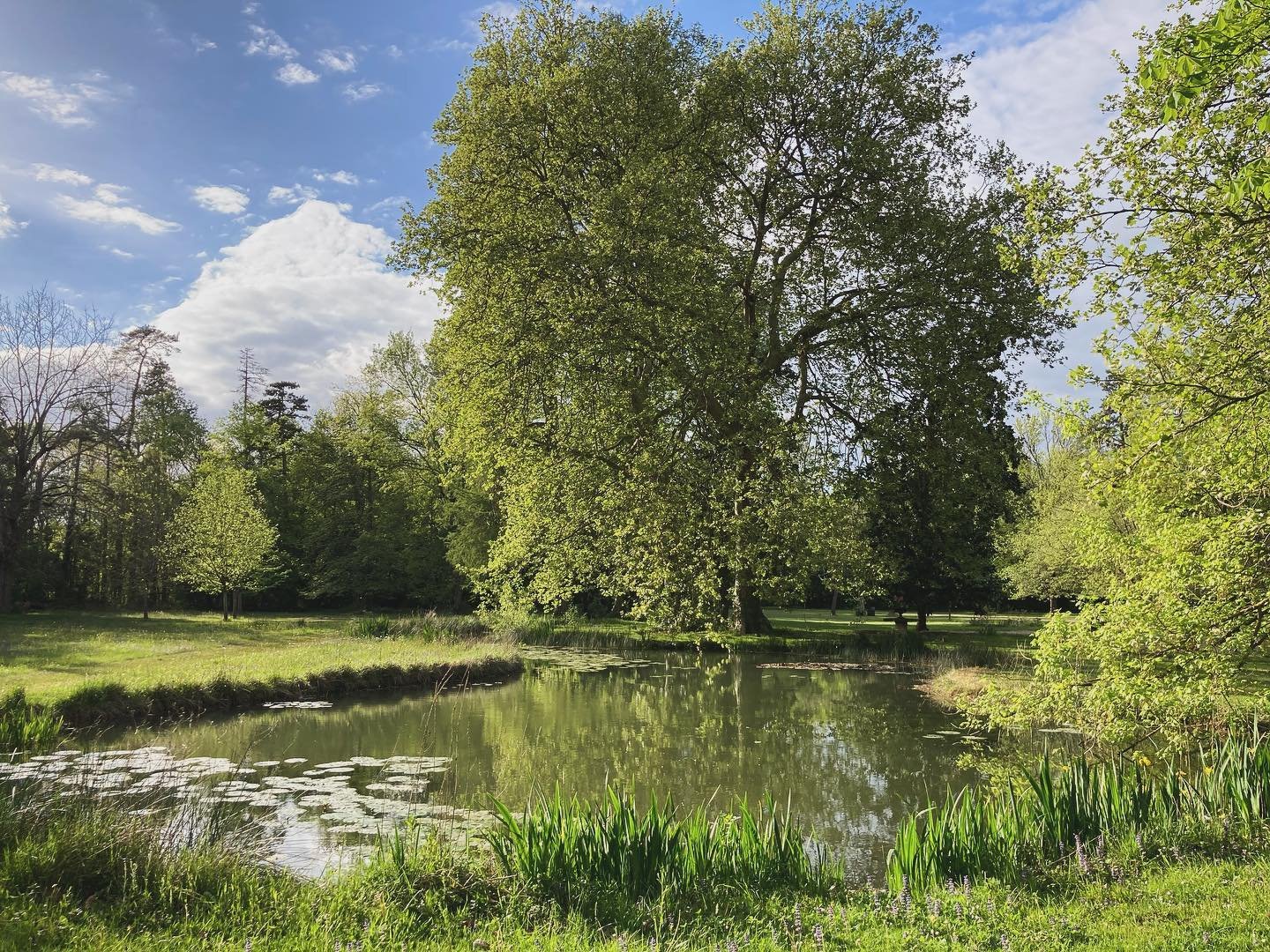 Spring in the park at #manoirdeplaisance