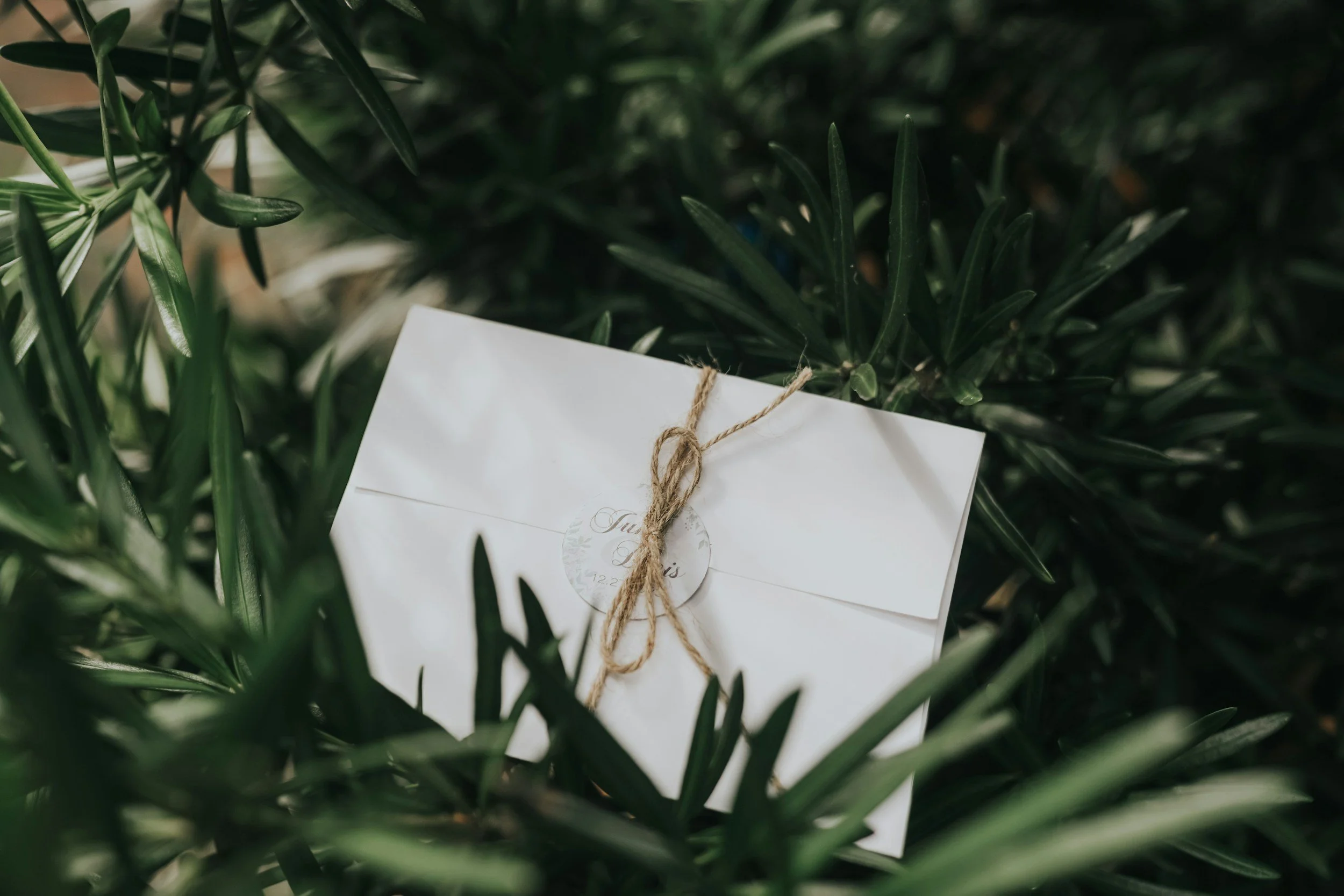 Gift Voucher envelope tied with twine, placed among green foliage.