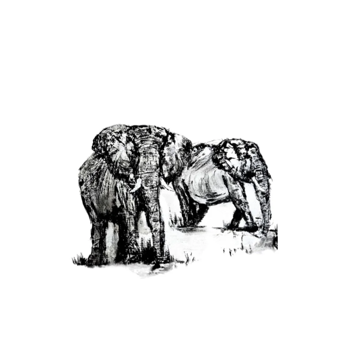 originla sketch of two elephants fiona j rose fine art gallery angmering village west sussex buy now