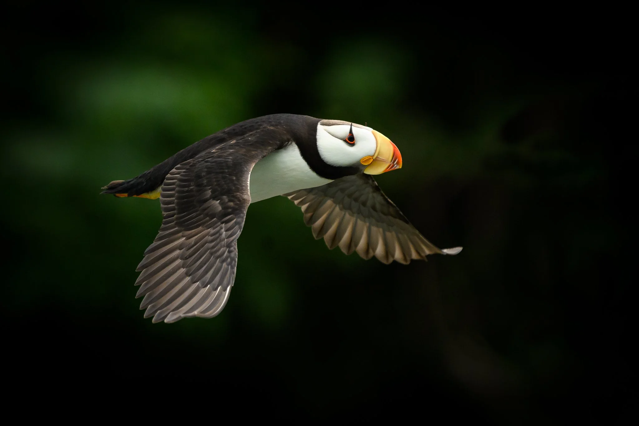 _DSC2617-Edit.jpg