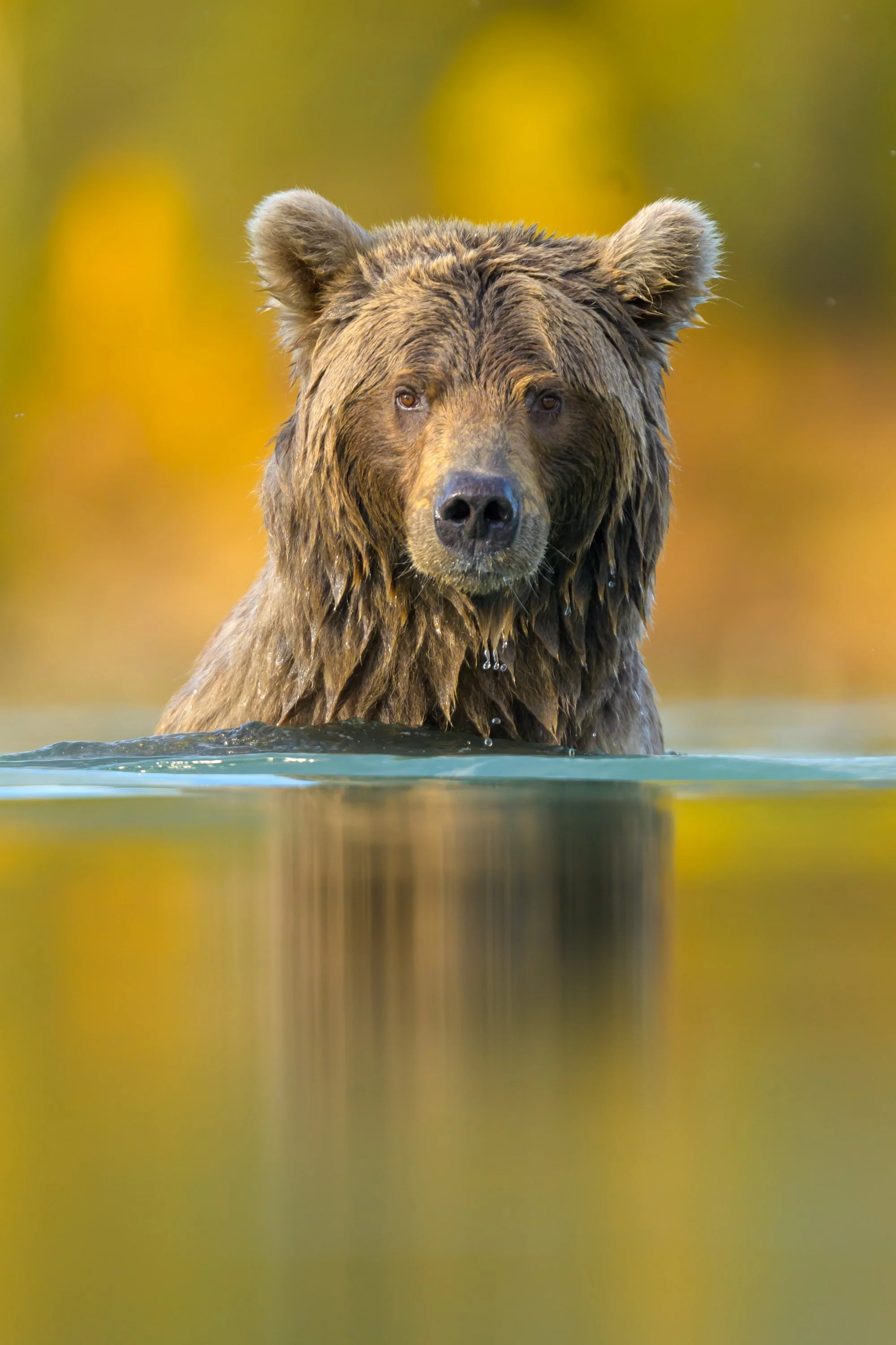 _DSC5218-2.jpg