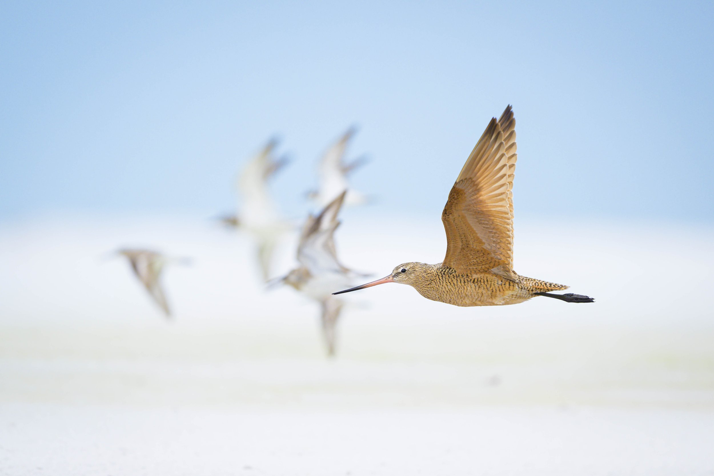 The Migration is Now