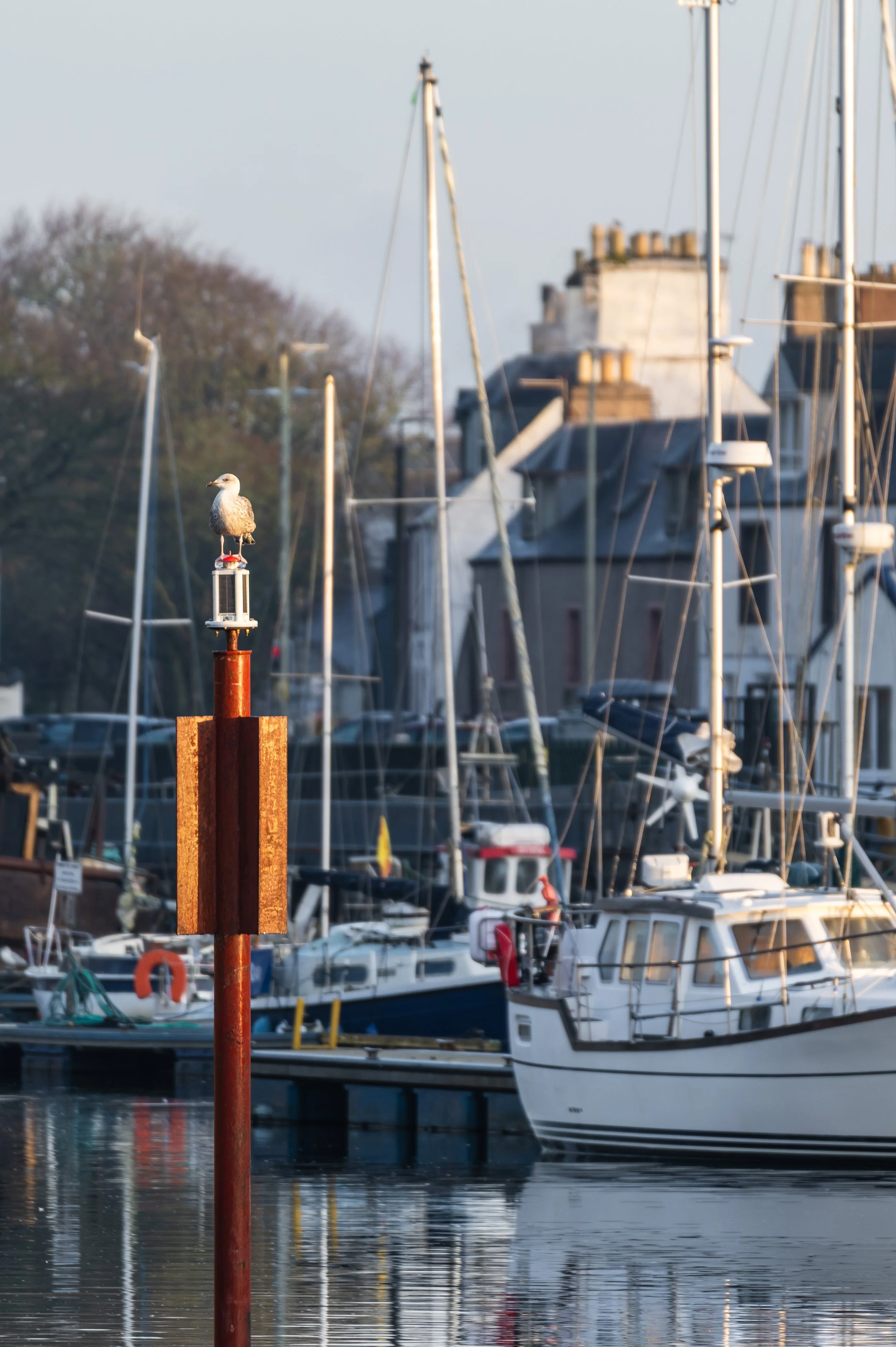 Stornoway Harbour