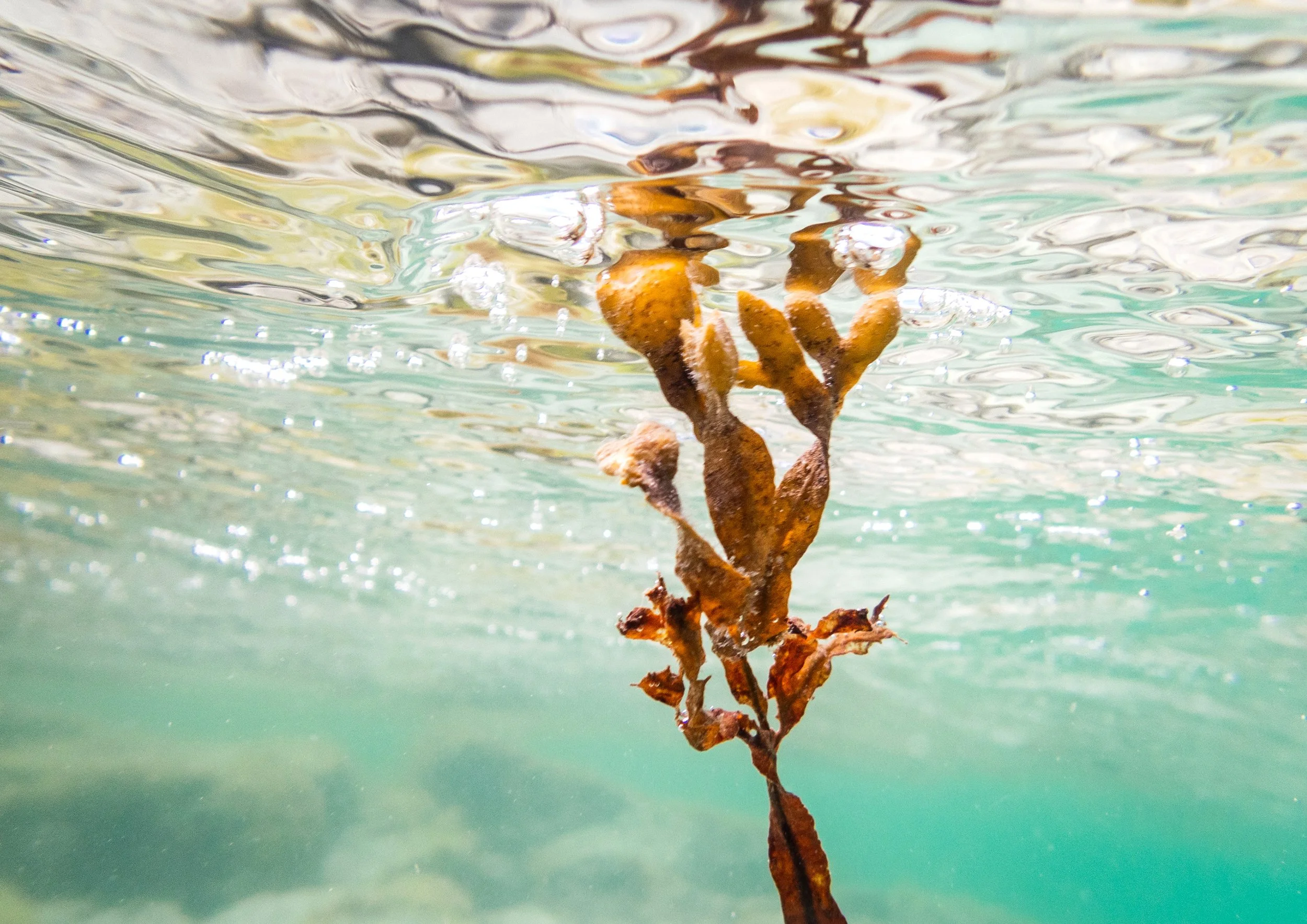 Beneath the Surface Isle of Harris