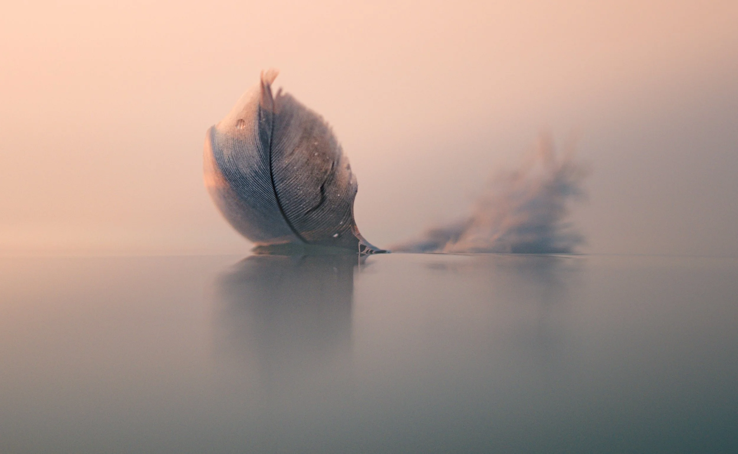 Emily Endean Women in seascape Photography - PermaJet Print of the month