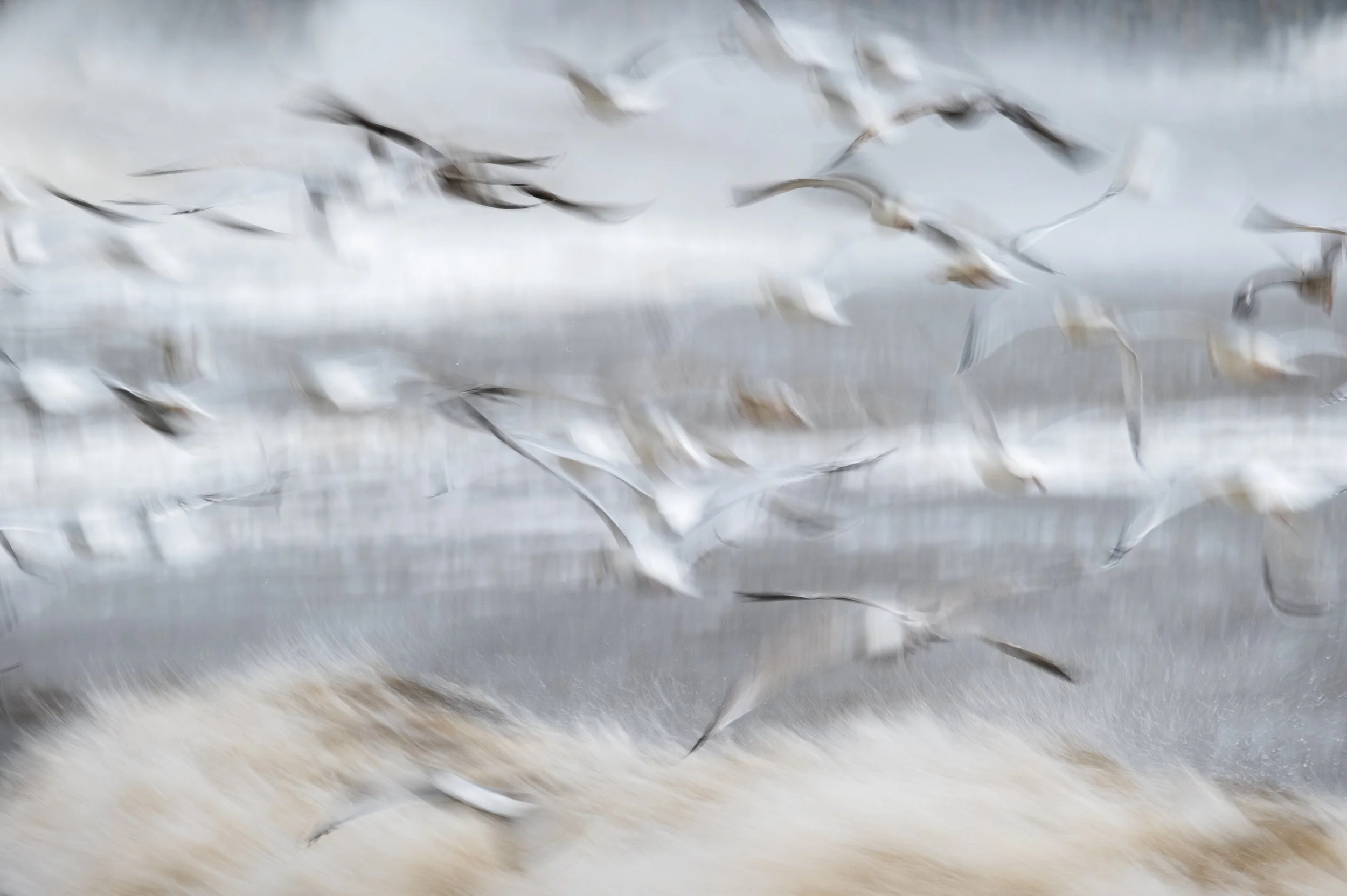 Isle of Harris & Lewis Workshops
