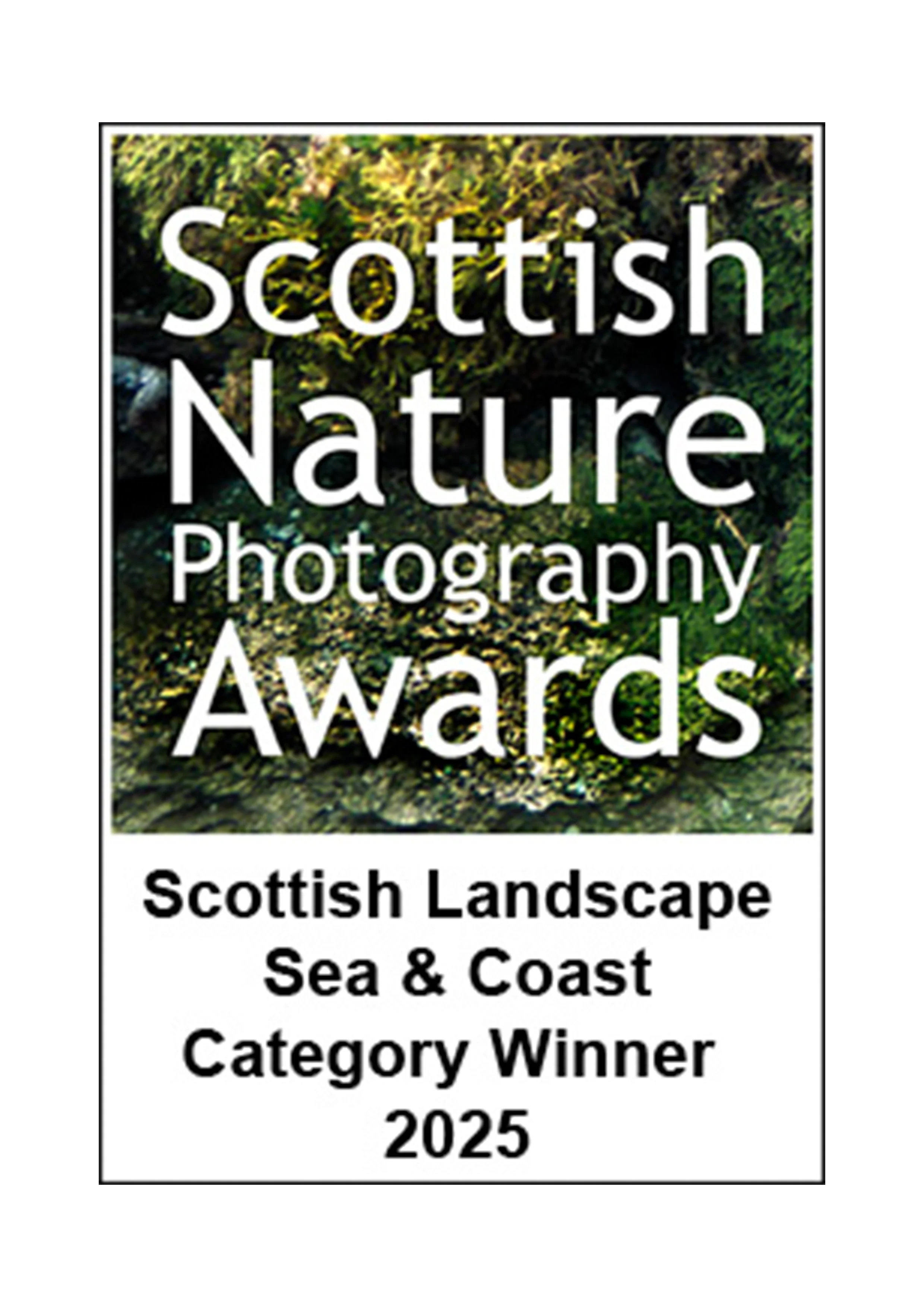 Scottish nature photography awards sea and coast winner adele warner-tate