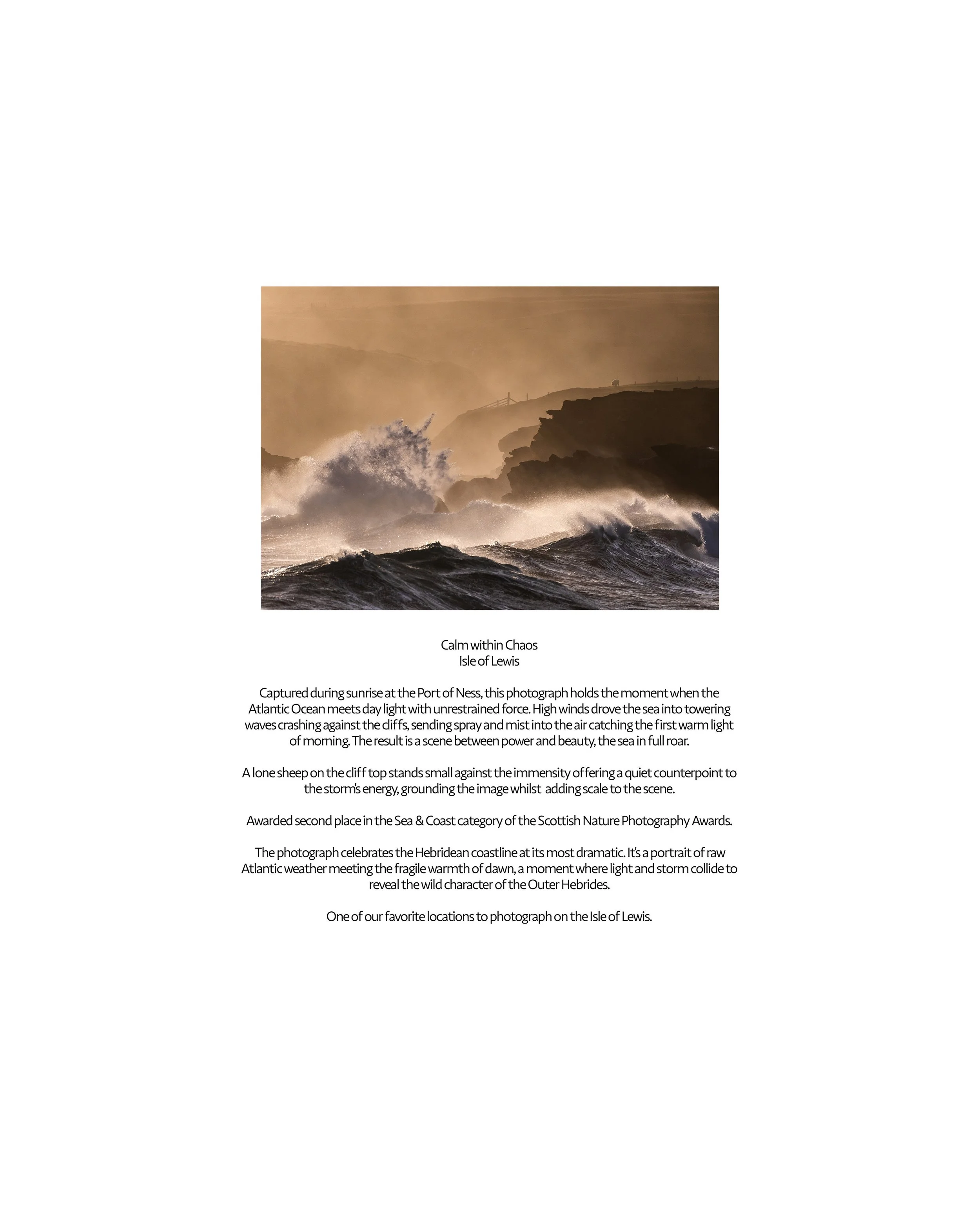 Harris-&-Lewis-photography-book-page-5.jpg