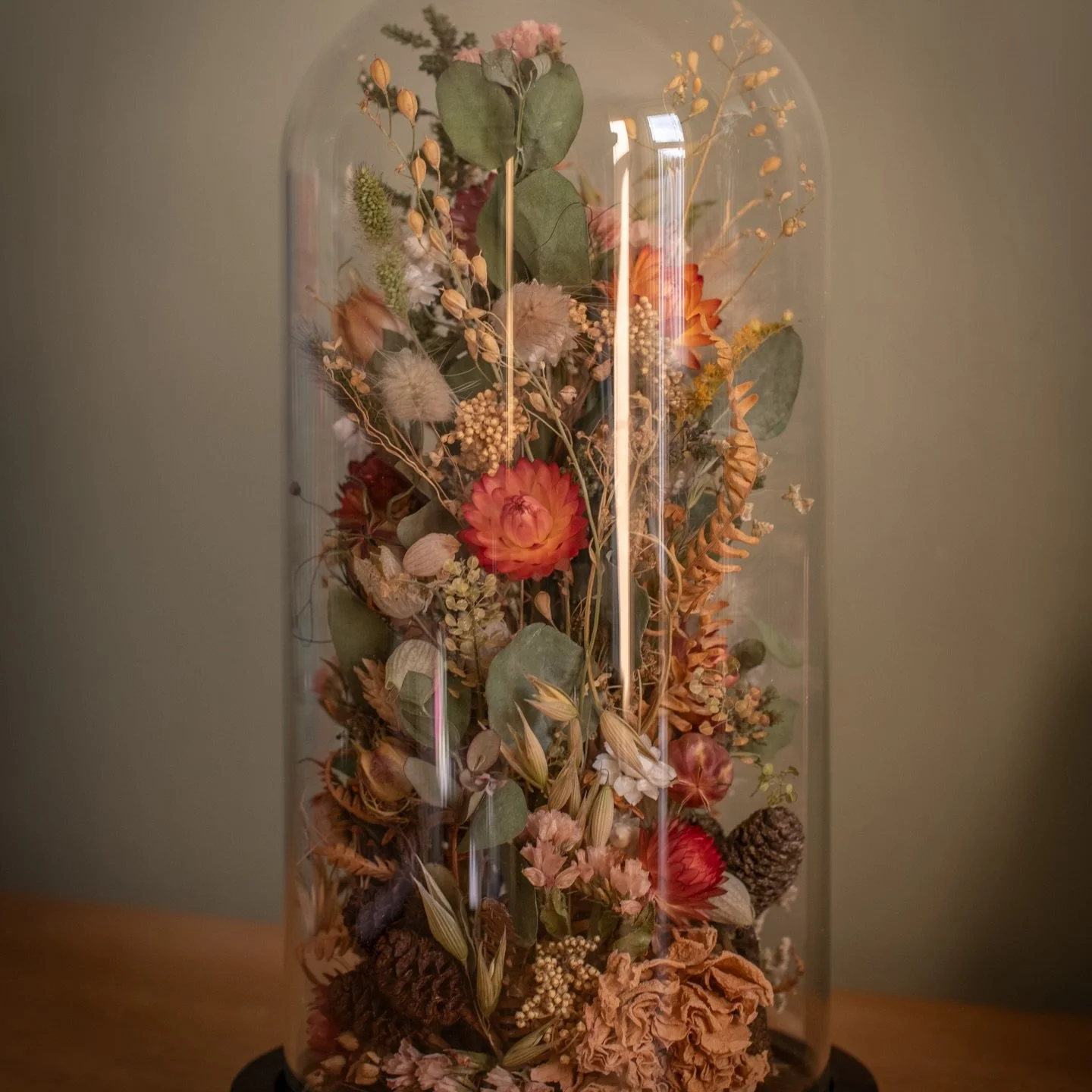 A dried flower autumnal scene preserved in a glass dome. A gift from one sister to another to celebrate her 100th birthday 🎂 🥰
.
.
.
.
#driedflowerdome #everlastingflowers #specialbirthdaygift
