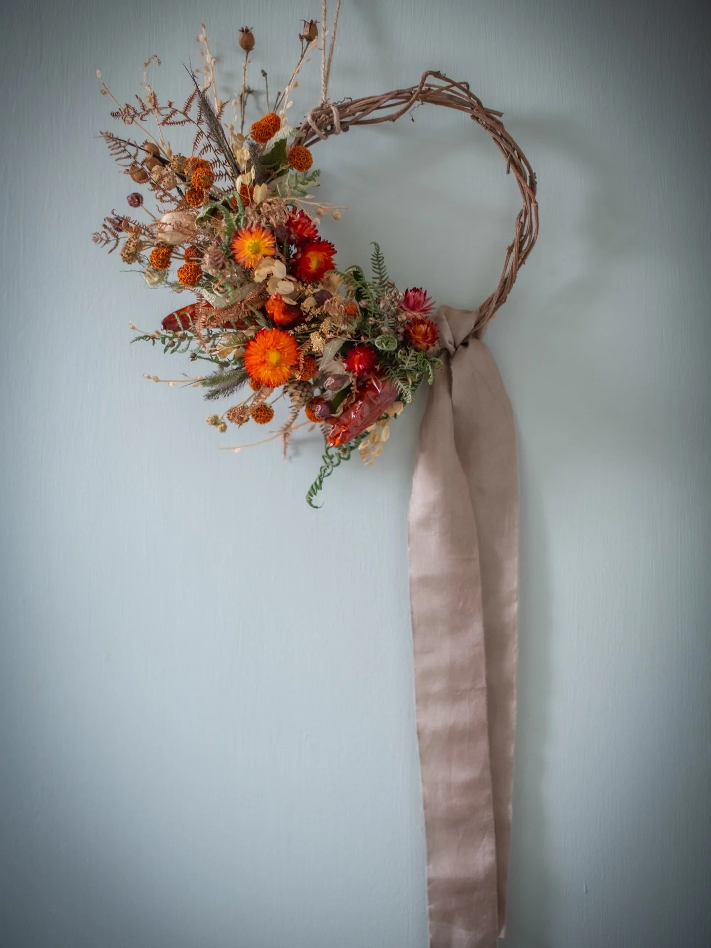 Another little dried flower wreath on display and available at @geocafeuk Caversham. This time with nice warm, rustic tones including some dried homegrown chillies - can you spot them? Of course finished with a lovely silk ribbon 🤎
.
.
.
.
#driedflo