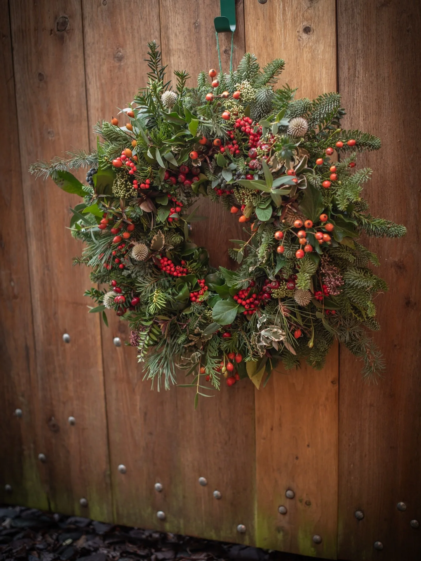 Leaning into all the wonderful berries this year has produced in this berry-full wreath.
.
.
.
.
Christmas wreath full of foliage and berries in a willow hoop from @littlewarefoliage fully biodegradable 
.
.
#christmaswreath #christmasberries #christ