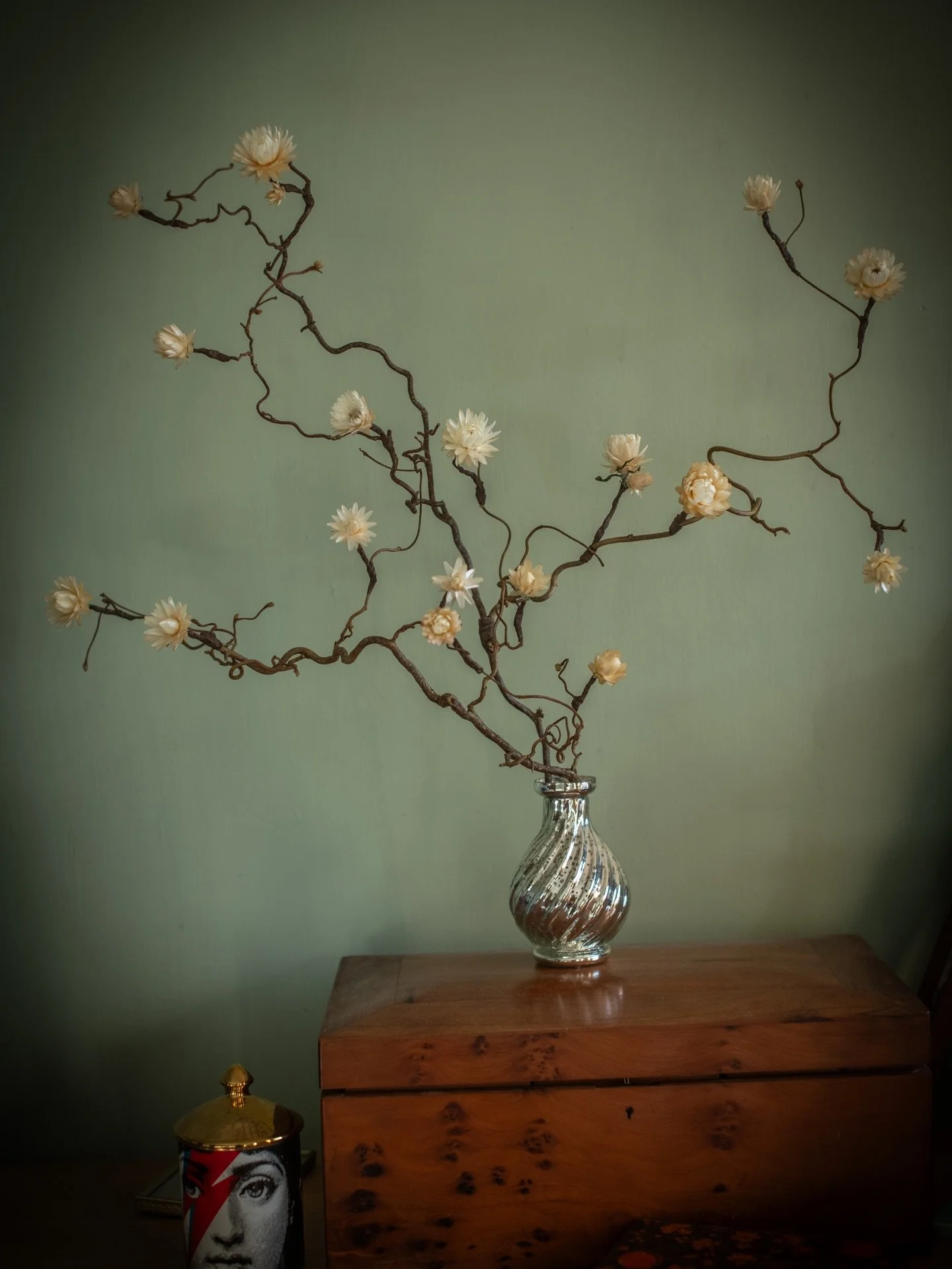 Curly hazel branches with wintery white flowers- always strikes a dramatic pose! 
.
.
.
.
Curly hazel branches with dried flowers | made to order 
.
.
.
#vaseofbranches #curlybranches #driedflowerdecor #driedflowerbranches