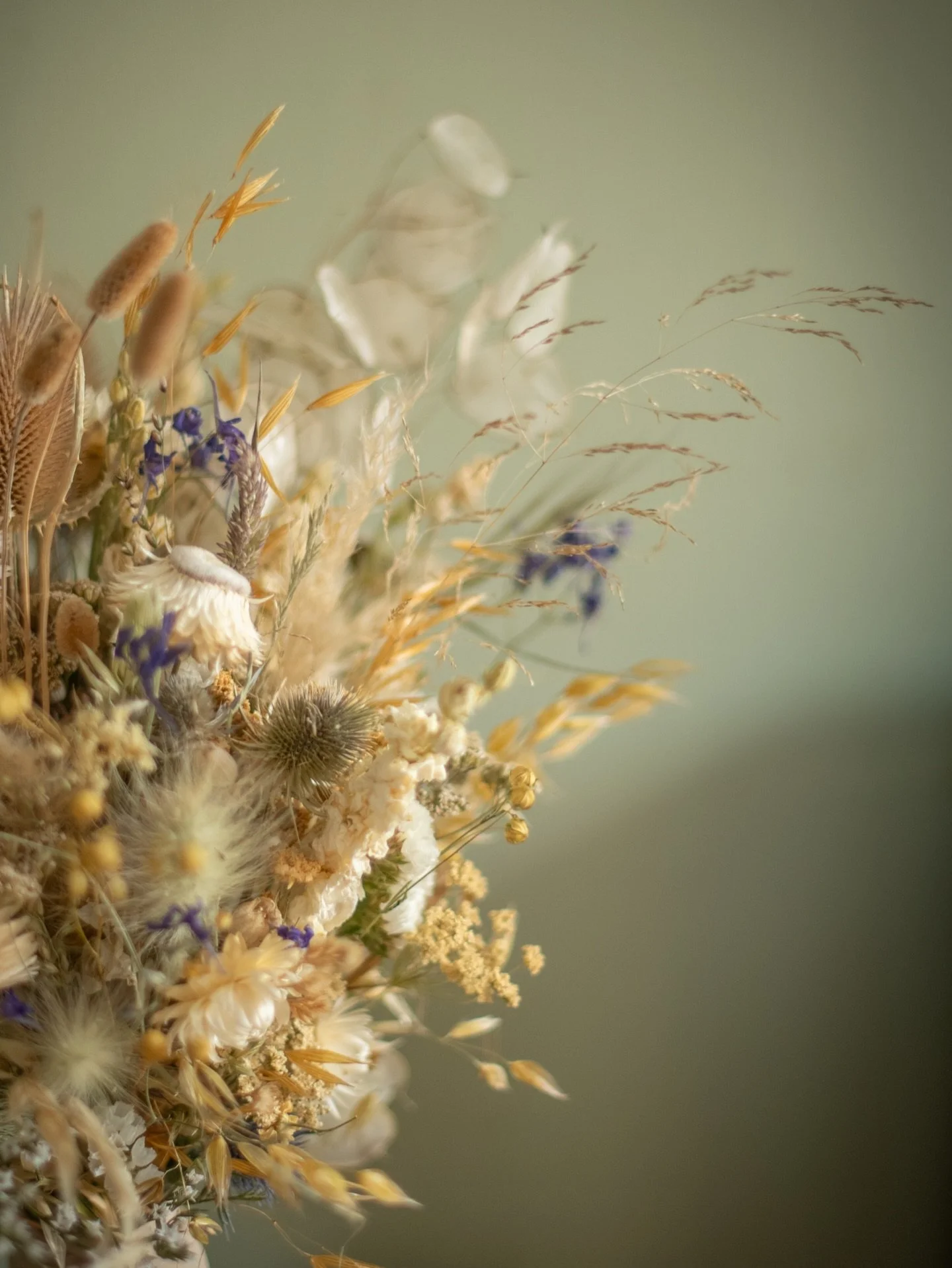 Come and see Bethany &amp; Brett&rsquo;s wedding flowers&hellip;.
Such a gorgeous set of flowers in the most delicate of palettes - neutrals with touches natural gold and navy- and masses of wonderful texture 🌾 🤍
.
Congratulations Bethany &amp;Bret