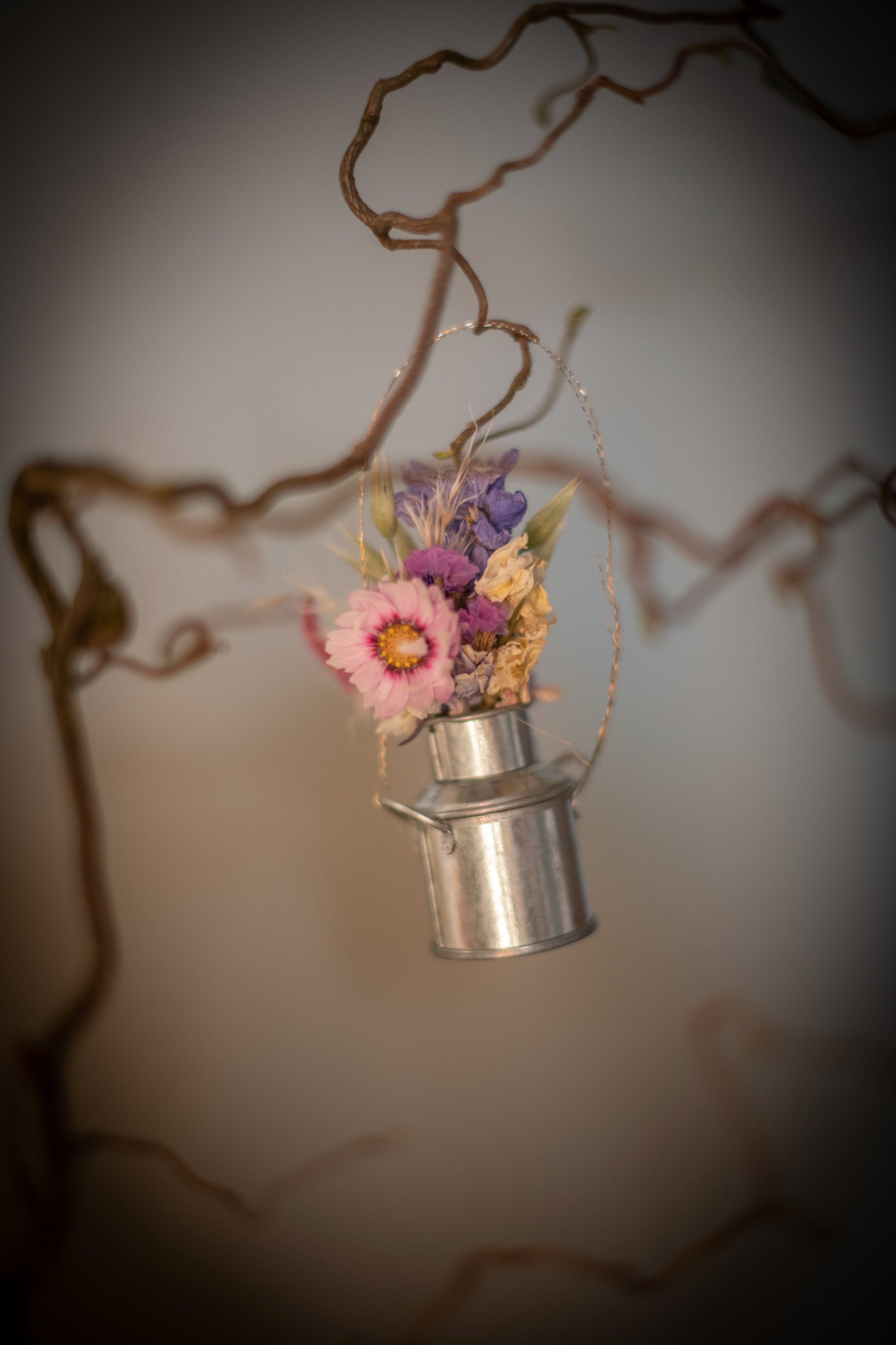 DSC_7575.jpeg