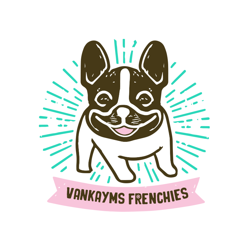 A digital illustration of a French Bulldog with a big smile, surrounded by teal rays, with a pink banner at the bottom reading "VANKAYMS FRENCHIES."