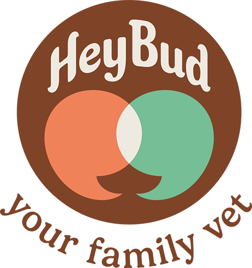 Hey Bud Vet official logo
