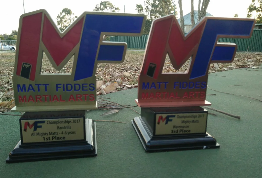Two award trophies for Matt Fiddes Martial Arts, one for 1st place for children ages 4-6 and one for 3rd place at the 2017 championships, placed on a green surface outdoors.