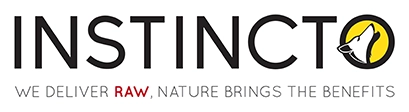 Instincto official logo