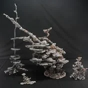 Australian Ant Art youtube logo A collection of small rocks and coral arranged on a dark background, creating a sculpture resembling a tree or plant.