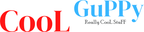 Official Cool Guppy Wooden Toys logo
