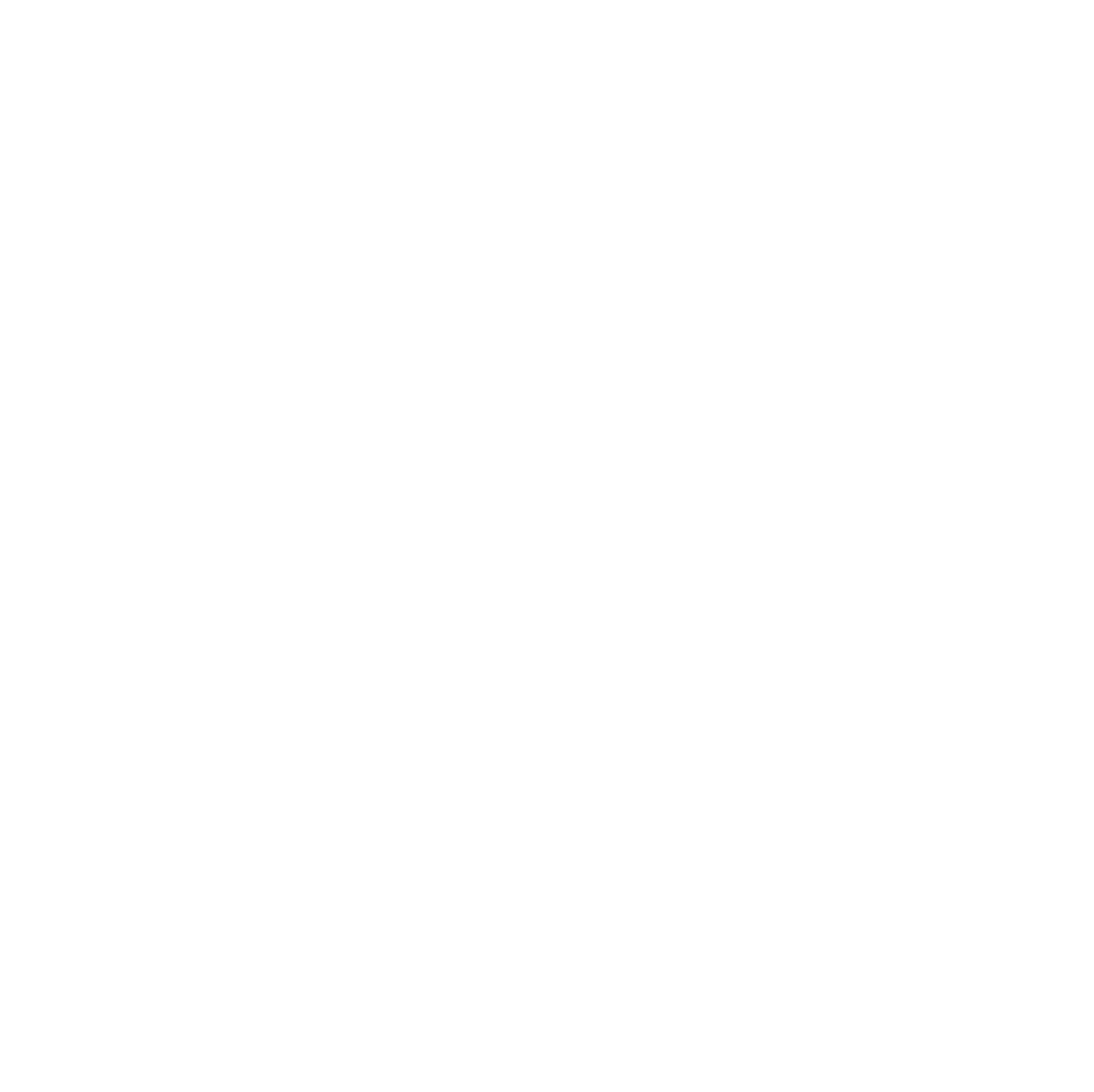 Shed 12 Brazilian Jiu Jitsu official logo