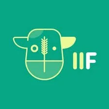 Logo featuring a stylized pig's face with a wheat symbol in the middle, and the letters 'IIF' next to it.