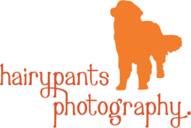 Logo with an orange silhouette of a person walking a small dog, and the text 'hairypants photography'.