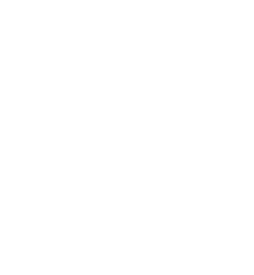 Salty Surf School official logo