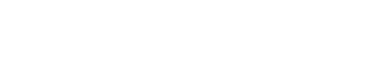 Wild&Co official logo