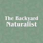 The Backyard Naturalist official identifier