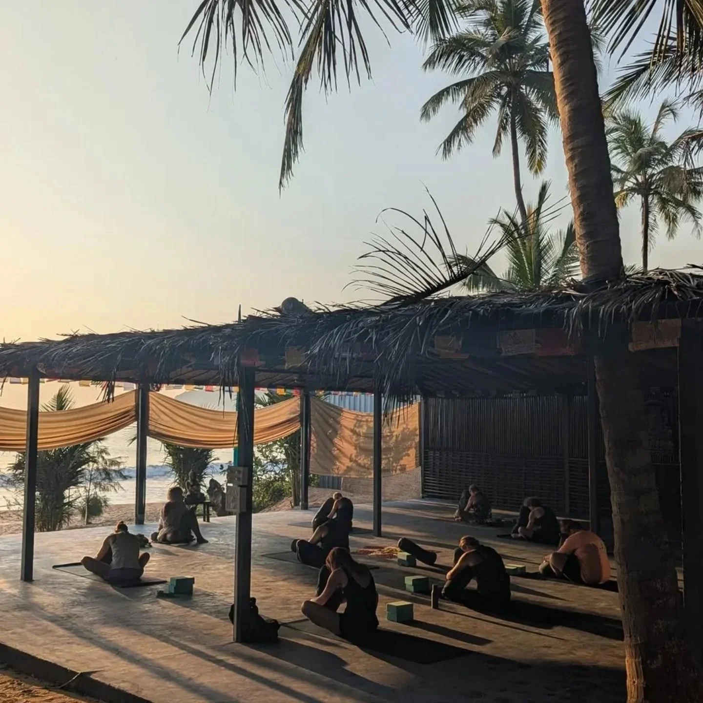 A snapshot of a week in Goa at @bambooyogaretreat with @silverhairyogi and @yogaquarter 💚