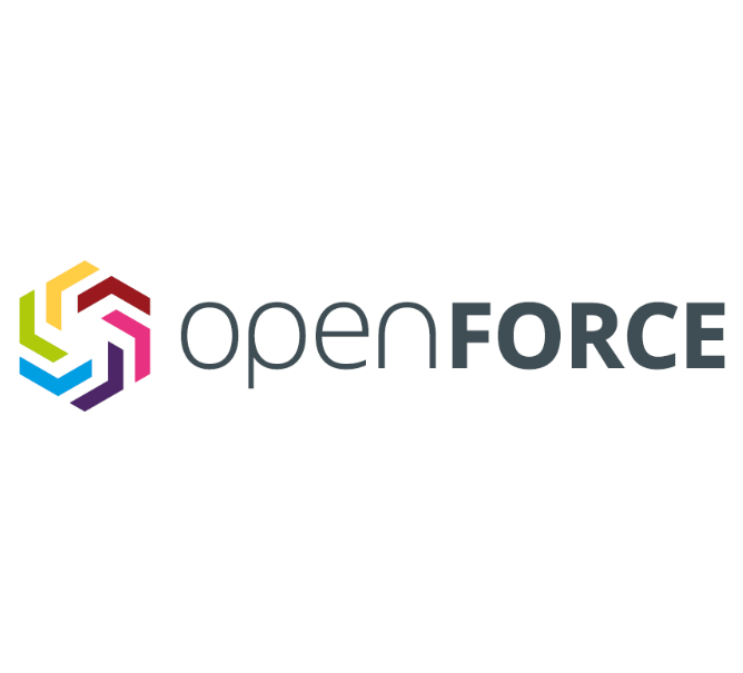 open force.PNG